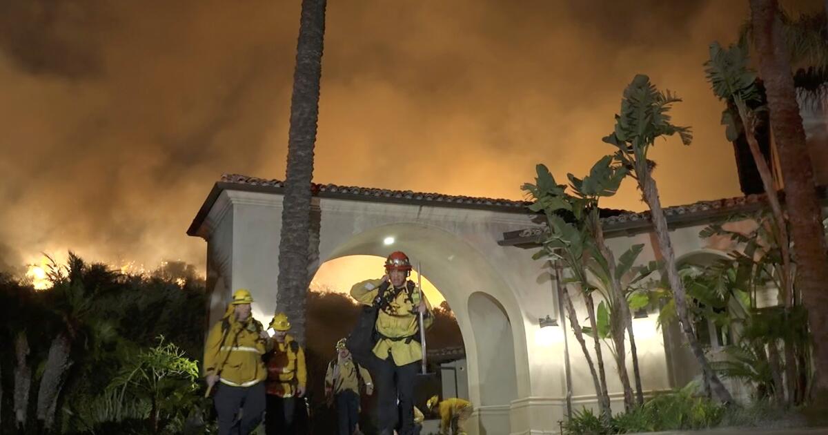 LAFD knew of firefighter complaints about Lachman mop-up and said nothing