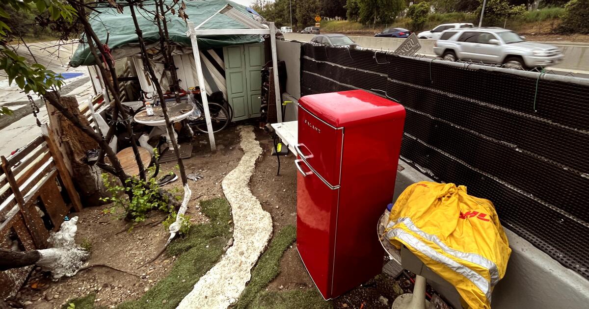 110 Freeway camps and their residents slowly moving on