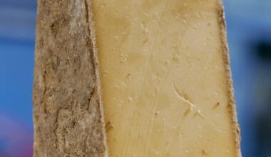 Why the fall is the best time for cheese — plus 7 cheesy recipes