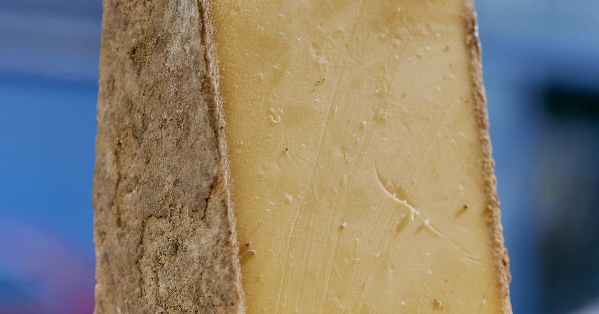 Why the fall is the best time for cheese — plus 7 cheesy recipes