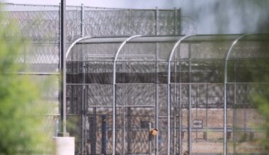 Deaths in ICE custody raise serious questions, lawmakers say