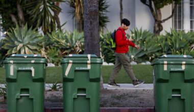 Green bins clog L.A. curbs as city’s organic waste program goes into overdrive