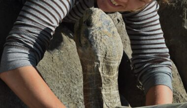 Gramma the tortoise, at San Diego Zoo for nearly a century, dies.