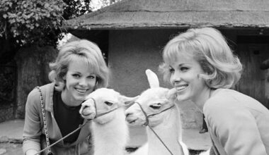 Twin singer-dancers who worked with Sinatra and Belafonte dead at 89