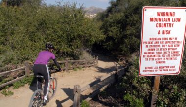Mountain lion sightings prompt closure of Orange County park