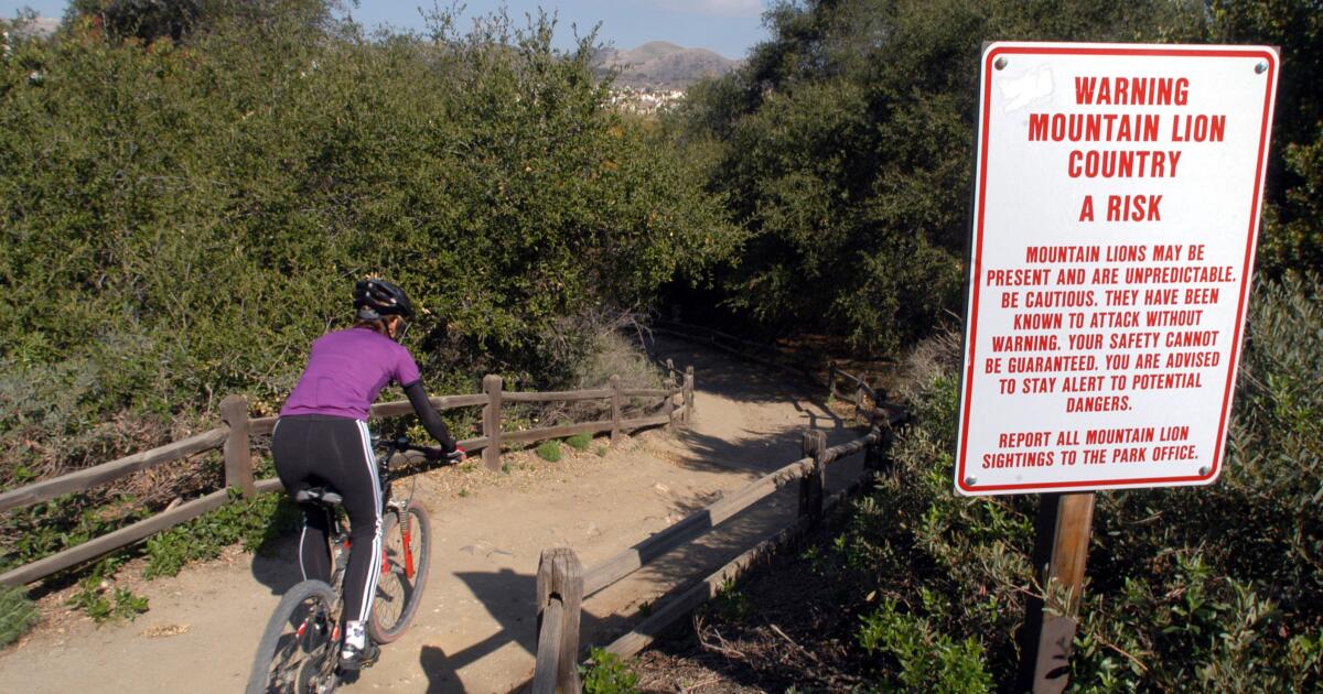Mountain lion sightings prompt closure of Orange County park