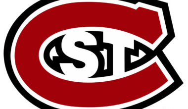 Free event on Friday, Nov. 7, at SCSU analyzes impact of WNBA, featuring Minnesota Lynx issues