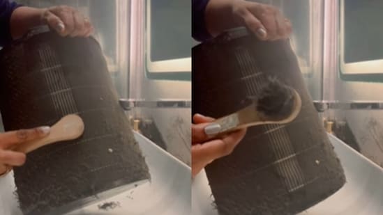A Delhi woman posted a clip cleaning her clogged air purifier as the capital’s air turned very poor.(Instagram/pragatiagarwal0 )