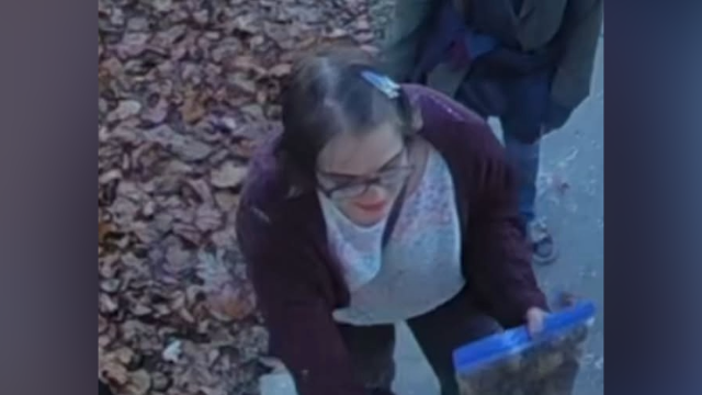 Slender Man stabbing attacker missing, cuts off GPS monitor