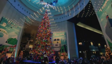 Things to do in and around Chicago Nov. 7 to Nov. 9 – NBC Chicago