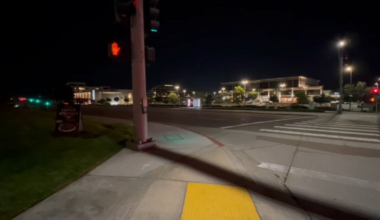 3-year-old girl bitten by coyote near Westfield UTC, parents say – NBC 7 San Diego