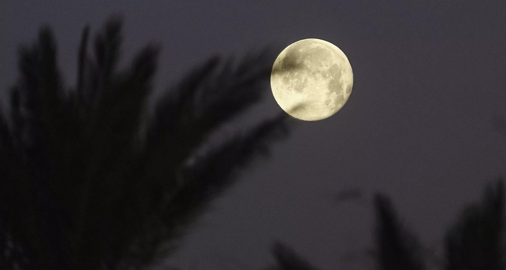 When to see November’s supermoon in Arizona tonight