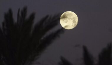 When to see November’s supermoon in Arizona tonight