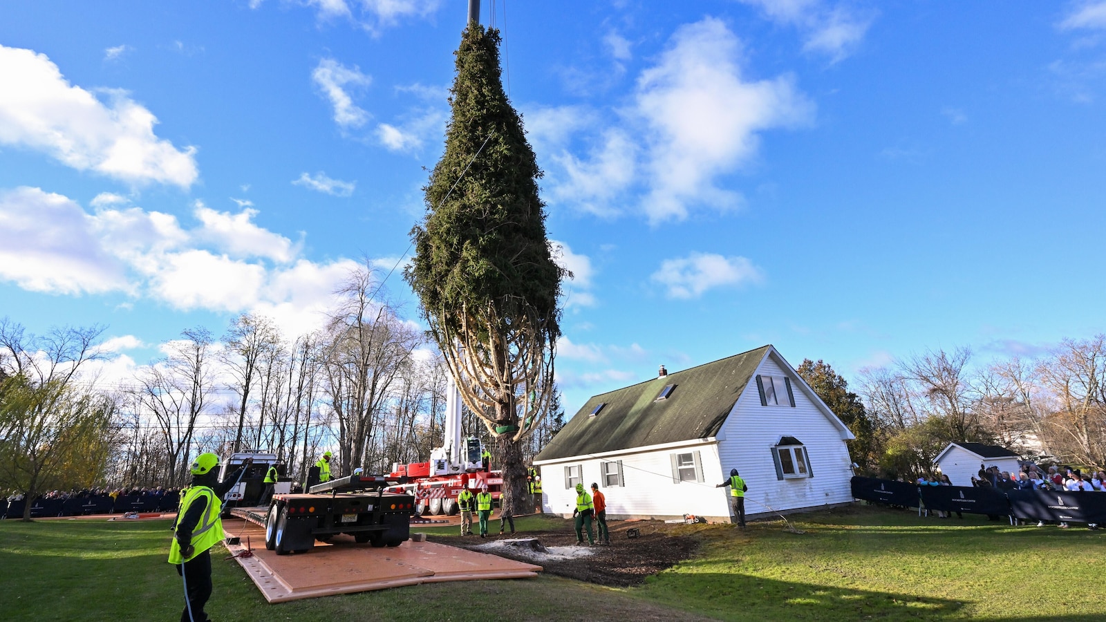 Rockefeller Christmas tree harvested from upstate New York, begins trek to Manhattan
