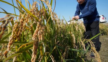 South Korean growers sue state power utility, blaming climate change for crop damage