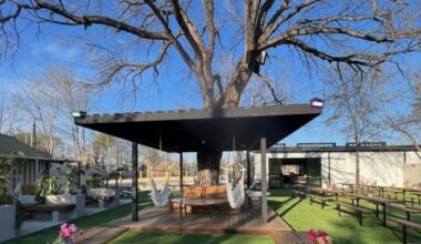 2-acre Houston patio bar rebrands with new name and family-friendly menu