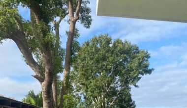 One Reddit user showed how they transformed their boring lawn into a vibrant native plant garden — saving money and water in the process.