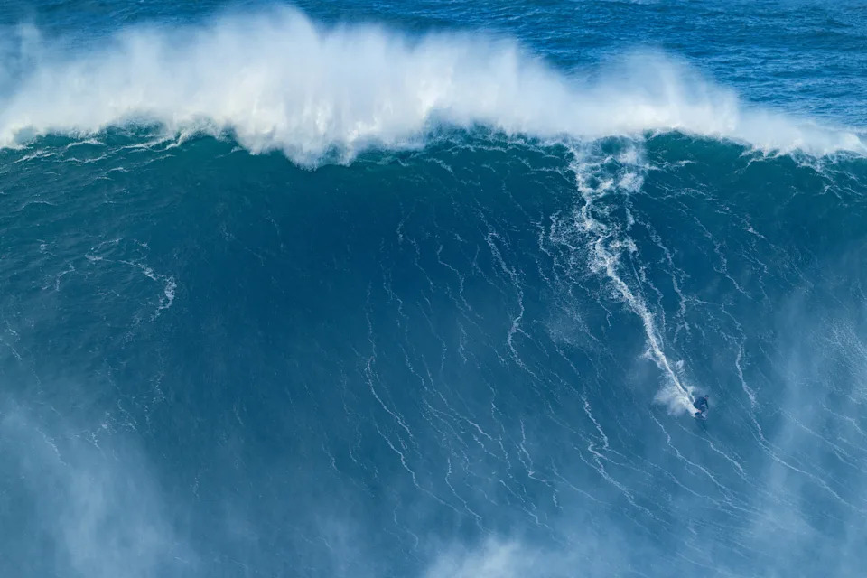 (David Ramos/Getty Images)