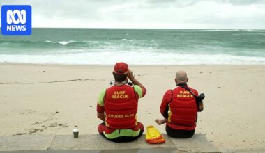 Two drown, man and teenage boy missing in multiple coastal emergencies off Sydney