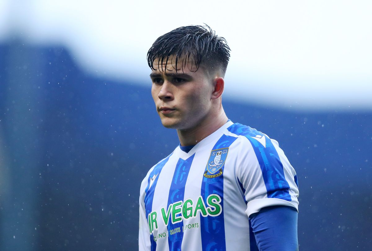 SHEFFIELD, ENGLAND - NOVEMBER 23: Harry Amass of Sheffield Wednesday during the Sky Bet Championship match between Sheffield Wednesday and Sheffield United at Hillsborough on November 23, 2025 in Sheffield, England. (Photo by Izzy Poles - AMA/Getty Images)