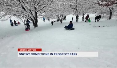 Digging out and having fun in Brooklyn's winter wonderland