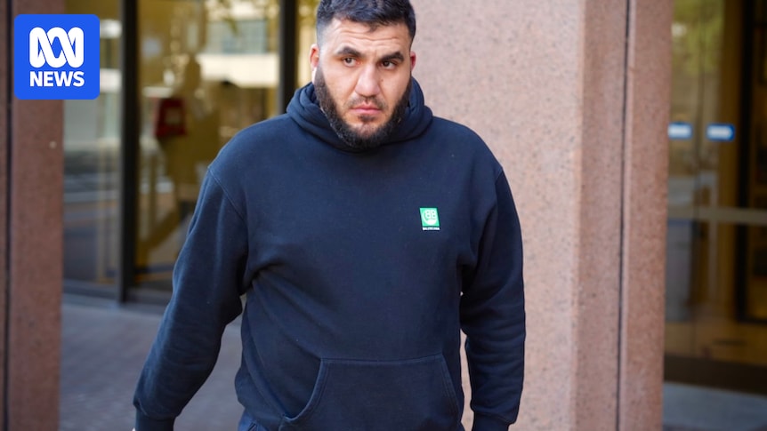 Taskforce Falcon charges alleged 'onshore leader' of Alameddine crime family