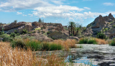 Yahoo lifestyle home