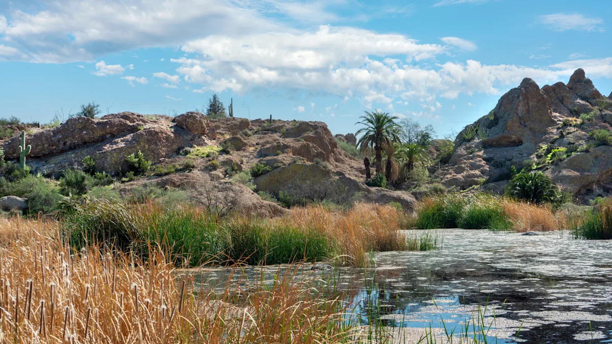 Yahoo lifestyle home