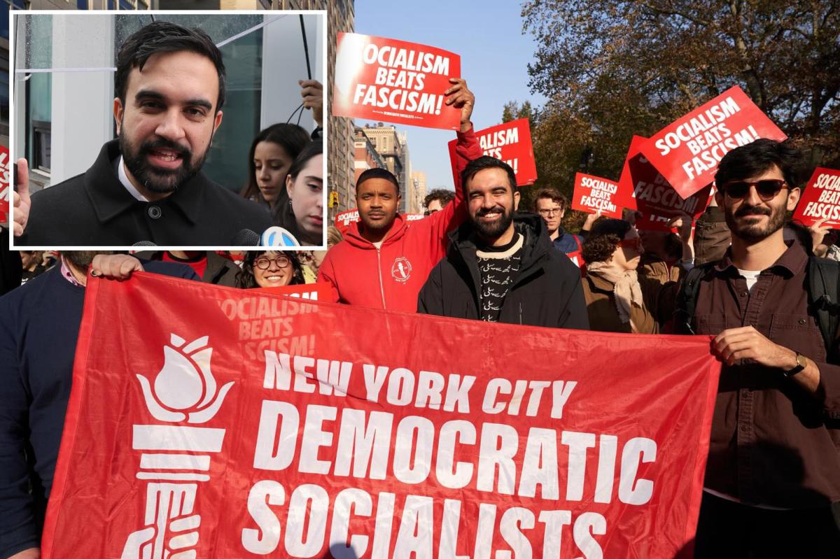 DSA calls to infiltrate NYC government through community boards, PTAs -- as Hochul ends up on 'enemies' list