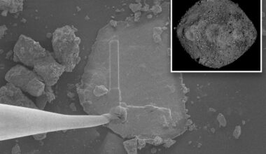 Asteroid hurtling toward Earth found to be teeming with building blocks of life: researchers