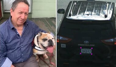 Taxi driver's body found dumped in upstate NY reservoir -- as killer makes off with his cab: cops