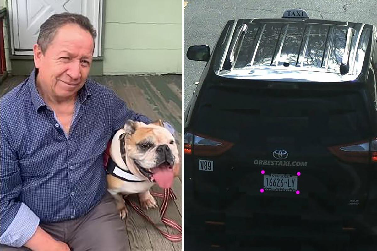 Taxi driver's body found dumped in upstate NY reservoir -- as killer makes off with his cab: cops