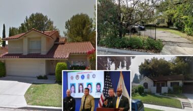 'Anti-capitalist' New Year's Eve LA terror plot suspects lived in upscale California suburbs