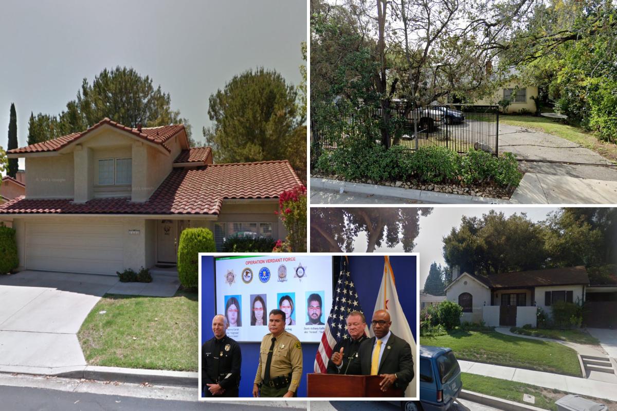 'Anti-capitalist' New Year's Eve LA terror plot suspects lived in upscale California suburbs