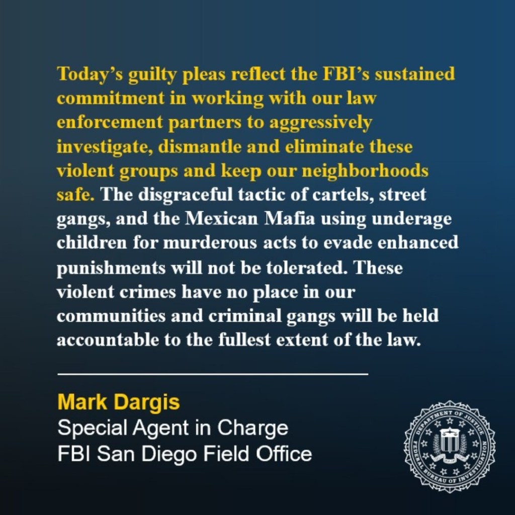 Statement from Mark Dargis, Special Agent in Charge, FBI San Diego Field Office, regarding guilty pleas, violent groups, and the use of underage children by cartels, street gangs, and the Mexican Mafia.