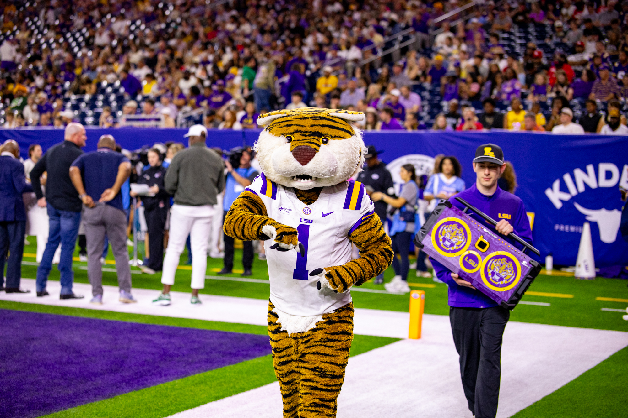 PHOTOS: LSU football falls to Houston in Texas Bowl