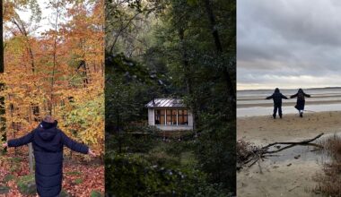I spent a nearly silent weekend in a forest cabin in Sweden. Here’s what I learned