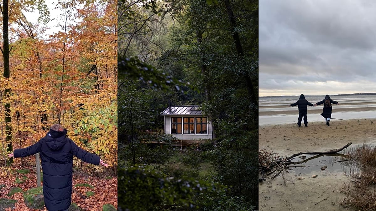I spent a nearly silent weekend in a forest cabin in Sweden. Here’s what I learned