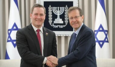 'Hamas has to go': Waltz tells Herzog US determined to end ‘cycle of insanity’