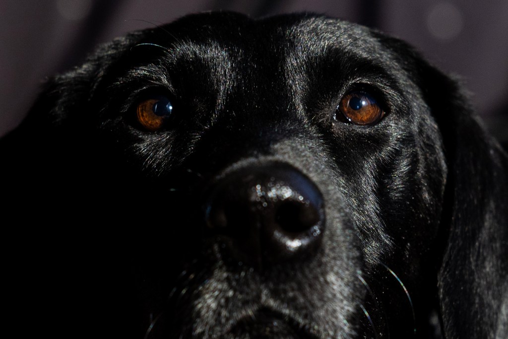 (Maria Crane | Fort Worth Report/CatchLight Local/Report for America)