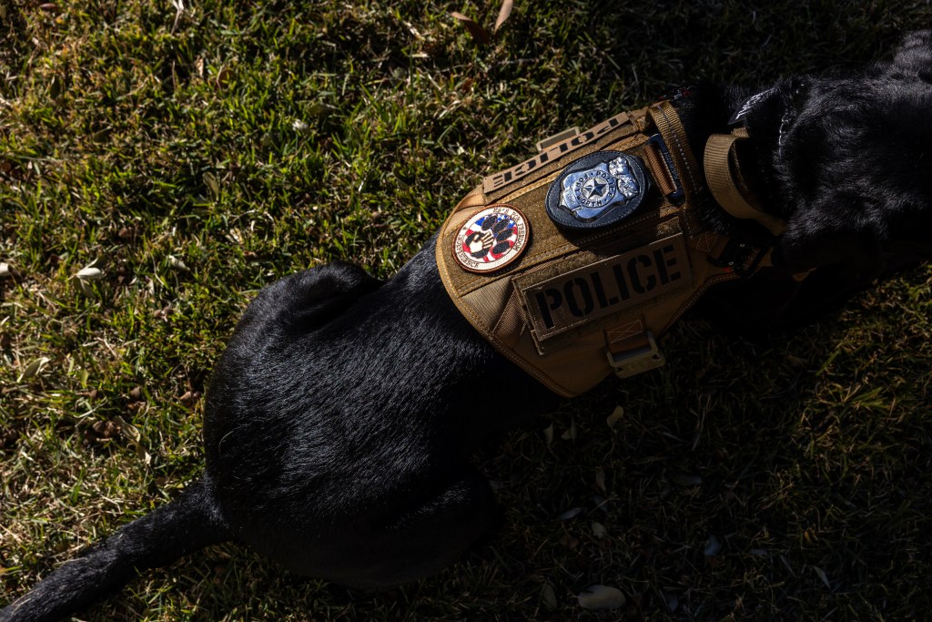 (Maria Crane | Fort Worth Report/CatchLight Local/Report for America)