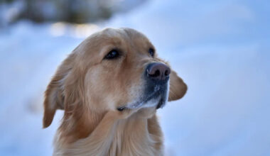 Yahoo lifestyle home