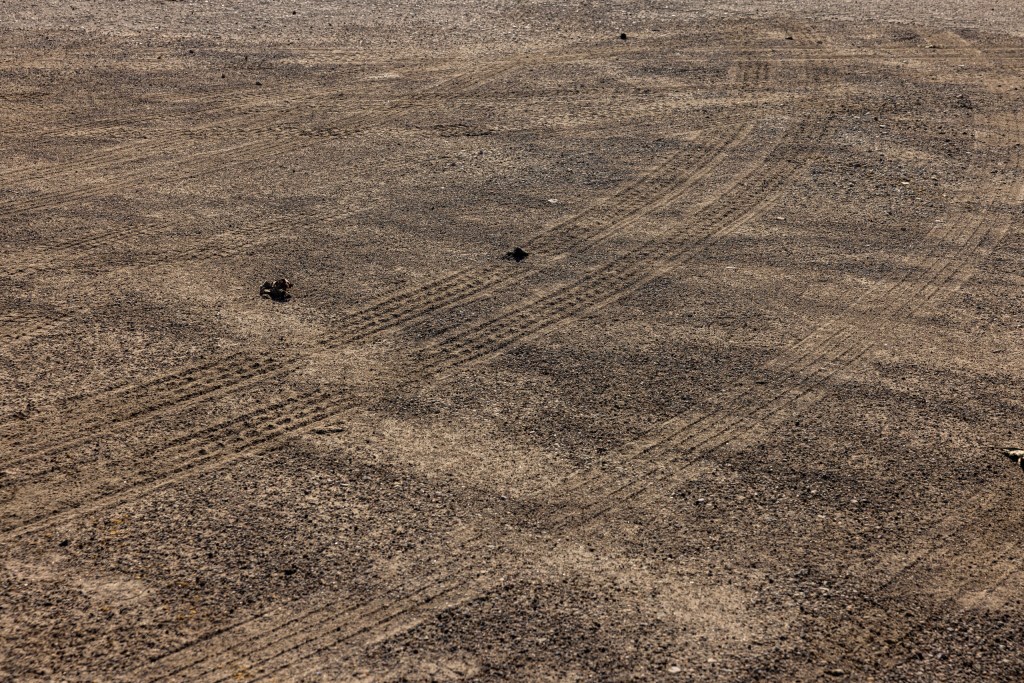 (Maria Crane | Fort Worth Report/CatchLight Local/Report for America)