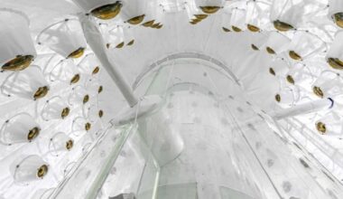 scientists are trying to unlock the hidden side of the universe