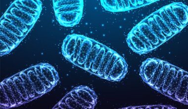 Scientists Zero In on Way to Slow Aging