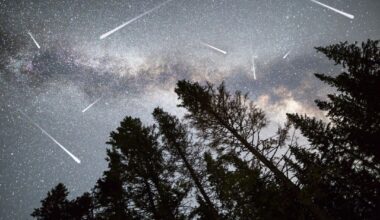 Get Ready for a Lot of Shooting Stars This Weekend