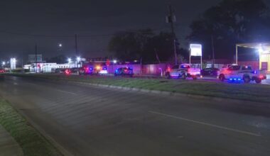 Live, dead roosters found at alleged fighting ring in north Houston, officials say