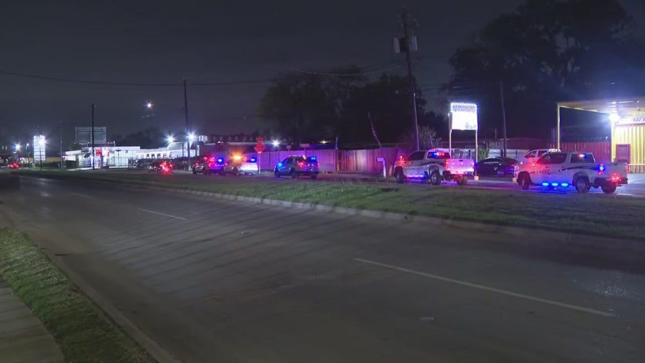 Live, dead roosters found at alleged fighting ring in north Houston, officials say