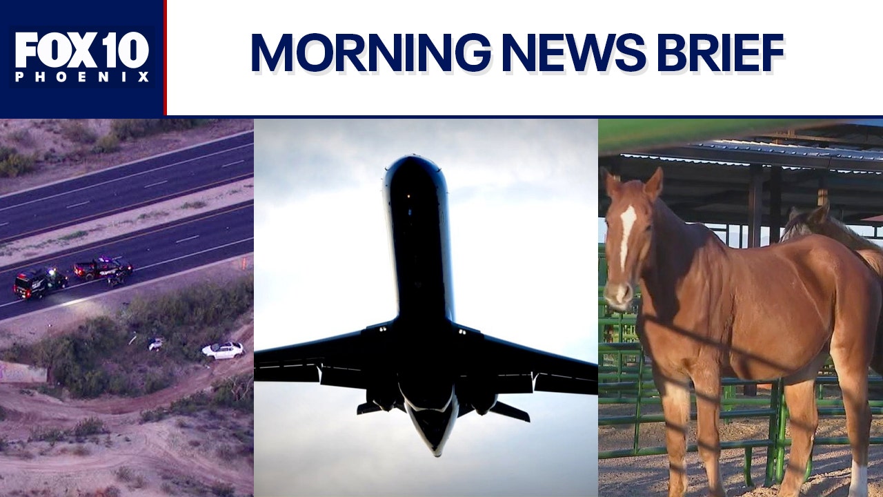 Shooting investigation in Tempe; Arizona Equine Herpesvirus outbreak latest | Morning News Brief