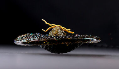 Alinea Crowned the Best American Restaurant of the 21st Century